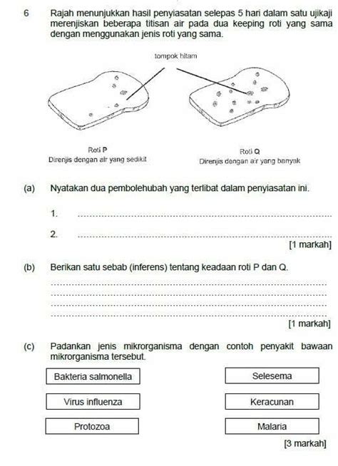 Latih Tubi Latihan Sains Tahun 6 Mikroorganisma / Soalan Sains Tahun 5