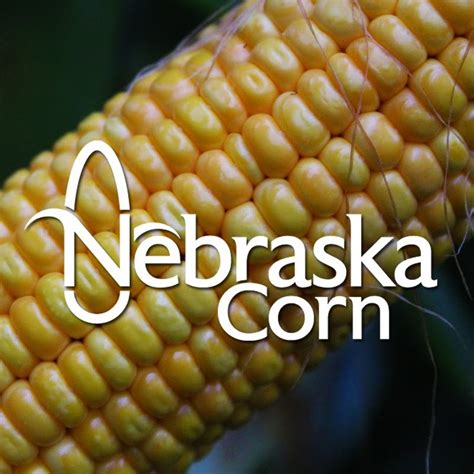 Nebraska Corn Youtube