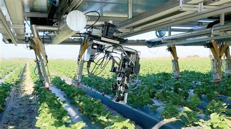 Specialty Crops Get In Gear Now For Agricultures Robotic Revolution