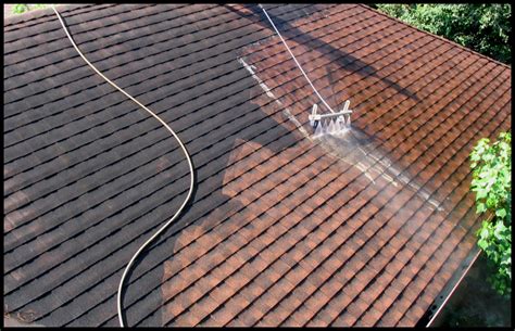 How to clean roof stains. How to Remove Algae from Roof Shingles