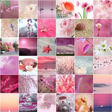 List 99 Pictures Things In Nature That Are Pink Full Hd 2k 4k