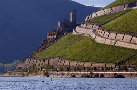 Pet friendly hotels in bingen am rhein. Burg Ehrenfels bei Bingen am Rhein | Burgen, Schlösser