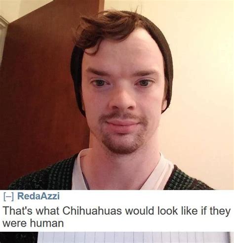 Brutally savage roasts (26 pictures). Hilarious Roast Me Responses That Will Shut Everyone Up ...