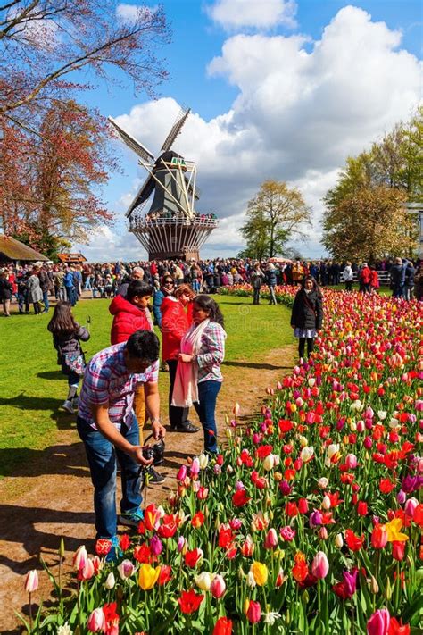 Famous Flower Park Keukenhof In Lisse Netherlands Editorial Stock