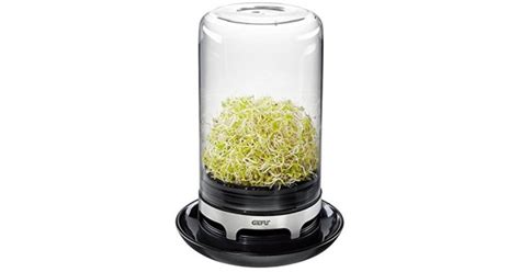 Sprouting Jar Black