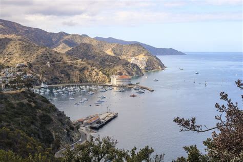 10 Awesome Things To Do On Catalina Island Traveling Ness