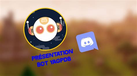 Find the best bot to spice up your discord server! |TUTO| |FR| Bot Discord - YAGPDB - YouTube