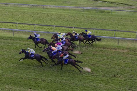 Horses Jockeys Racing Overlooking Editorial Image Image Of Track