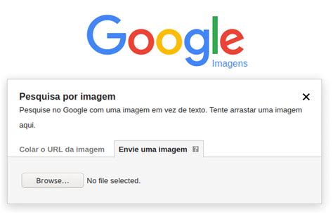 Google Imagens 5 Formas De Como Pesquisar Imagens No Google 2022