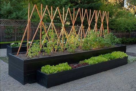 See more ideas about modern greenhouses, plants, veggie garden. garden design ideas no grass | Backyard vegetable gardens, Vegetable garden design, Garden design