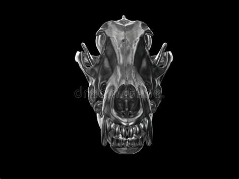 Dark Metal Wolf Skull Front View Stock Illustration Illustration Of