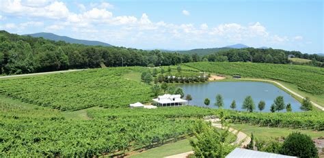 The 10 Best Wineries In North Georgia To Visit Choice Wineries