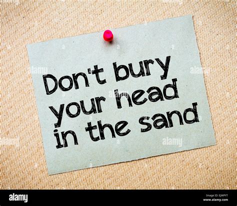 Bury Your Head In The Sand Hi Res Stock Photography And Images Alamy