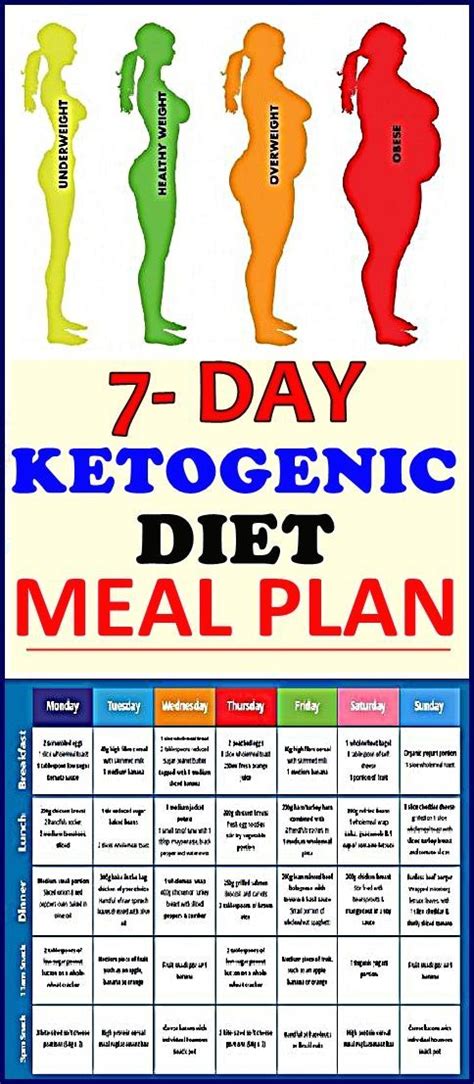 Ketogenic Diet Plan For Beginners 7 Day Keto Meal Plan And Menu