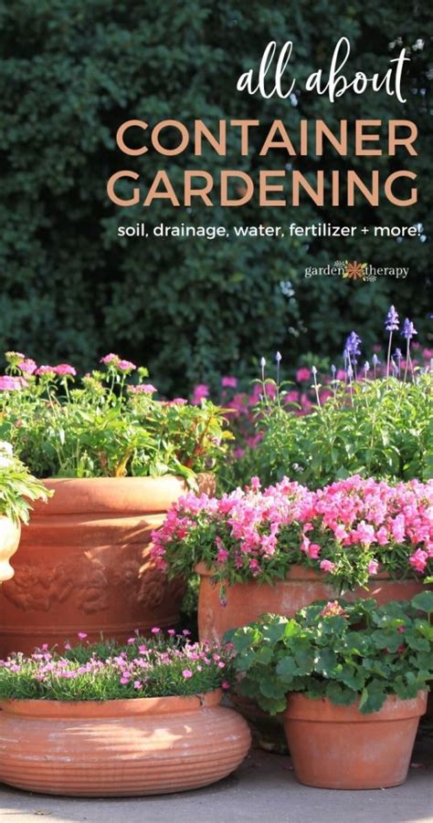 The Secrets To Successful Container Gardening