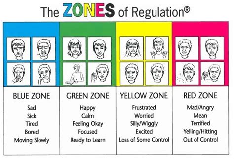 Zones Of Regulation Social Responsibility Support Program