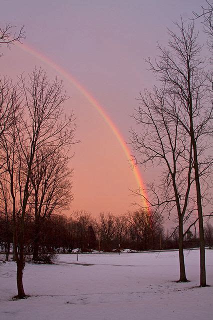 Winter Rainbow Beautiful Nature Scenery Rainbow