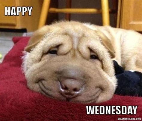 The 25 Best Happy Wednesday Pictures Ideas On Pinterest