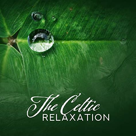 Play The Celtic Relaxation Best Traditional Irish Harp And Flute Relax