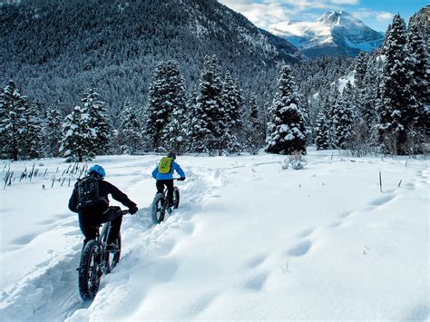 Canadas Best Online Bike Shop Winter And Studded Bike Tires The Bike