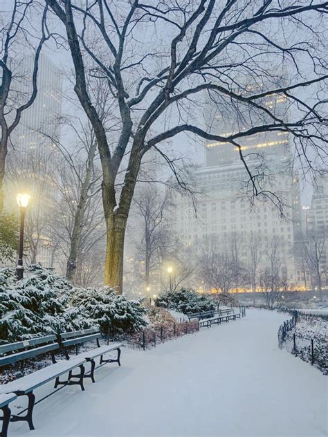 Central Park New York City Snow Storm Stock Image Image Of Bench