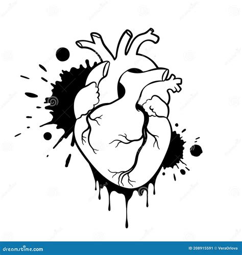 Grunge Human Heart Anatomical Realistic Dripping Heart Line Art