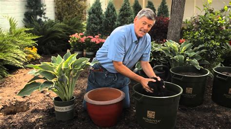 How To Plant Container Hostas Garden Savvy Youtube