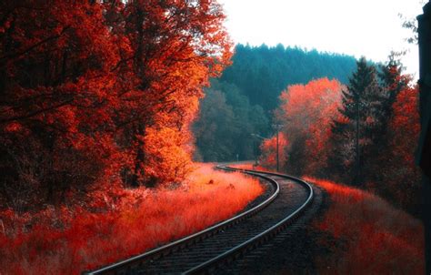 Wallpaper Road Forest Trees Rails Sleepers Autumn Foliage Iron