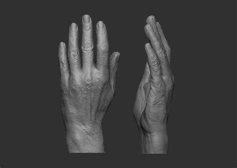 3d Print Model Elderly Female Hand Cgtrader
