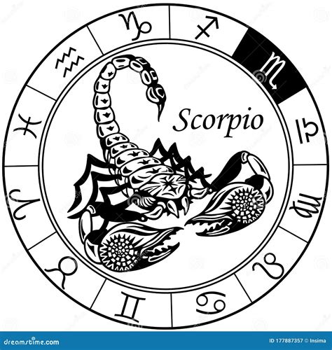 Scorpion Astrological Zodiac Sign Black And White Stock Vector