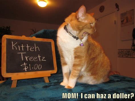 Mom I Can Haz A Doller Lolcats Lol Cat Memes Funny Cats