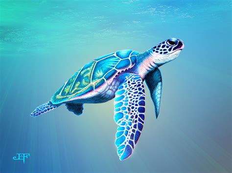 Write a custom message on your pencils or. Sea Turtle Drawing by J Olson LaF