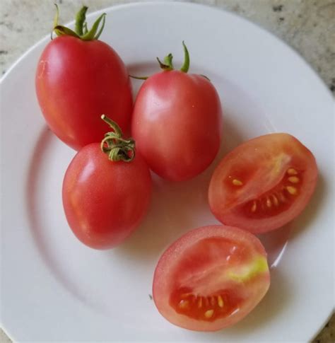 Thai Pink Egg Grape Tomato — The Coeur Dalene Coop