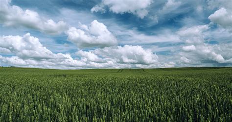 Agriculture Landscape Under Clouds And Sky Image Free