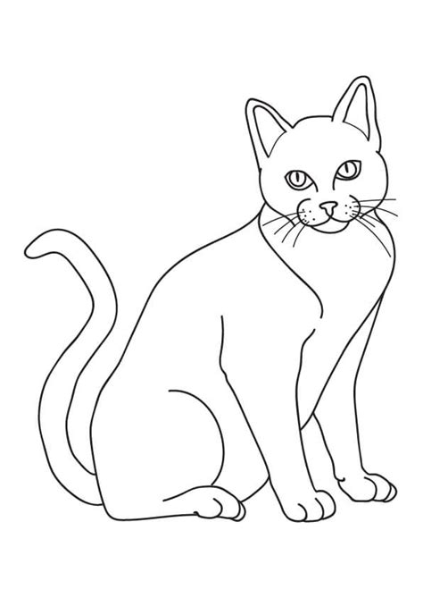 Kolorowanki kotów do druku rysunki dla dzieci i dorosłych