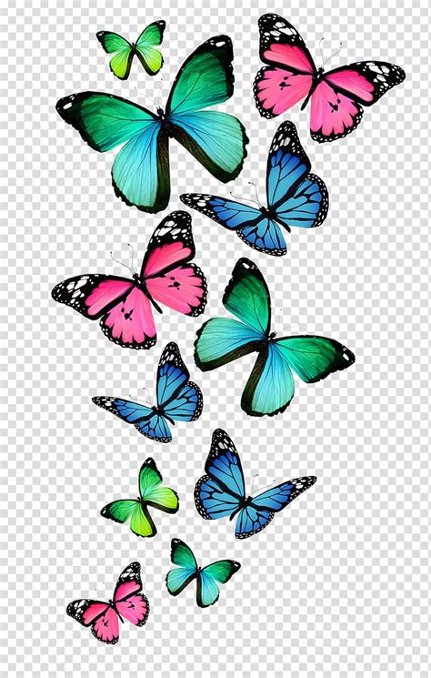 Maybe you would like to learn more about one of these? Butterfly Color , watercolor animals transparent ...