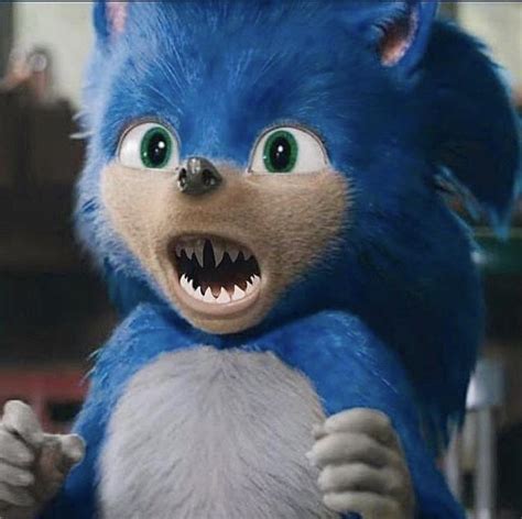 Thanks I Hate Sonic With Realistic Hedgehog Teeth Rtihi