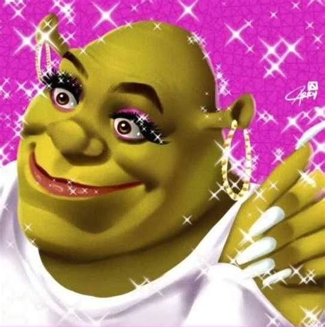 Shrek Memes Download The Latest Shrek Memes We Added For You Bella