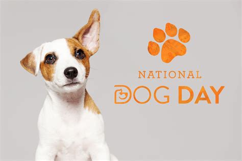 National Dog Day 2024 Shay Carilyn