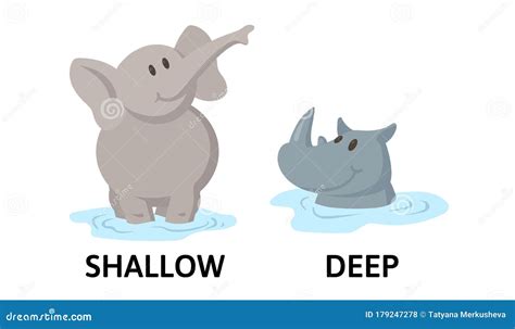Words Deep And Shallow Flashcard With Cartoon Characters Opposite