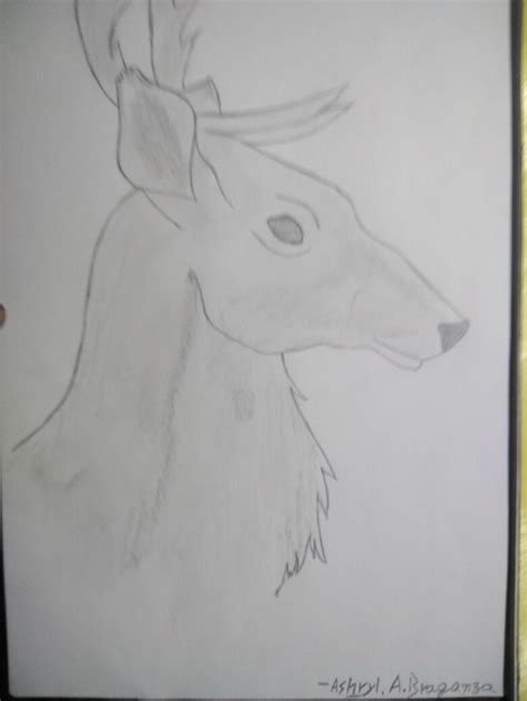 Pin By Ashryl On My Sketch Art Deer Humanoid Sketch