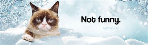 Grumpy Cat Snow Its Meme Cats