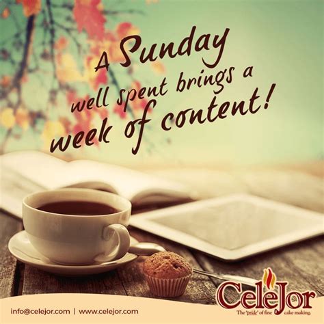 A Sunday Well Spent Bring A Week Of Content Celejor Celejorcakes