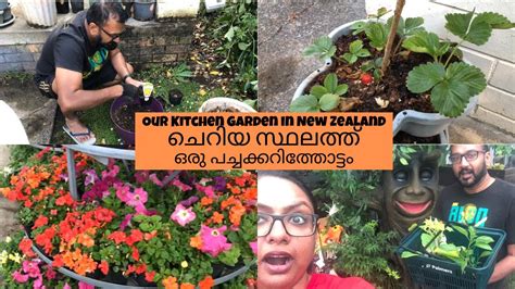 My garden tour l garden tour in malayalam hair oil trclips.com/video/4udxbjshm70/video.html small sapce garden tour l gardening for beginers l home garden in malayalam l wats in my. Our Kitchen Garden//Malayalam vlog //How we grow our own ...