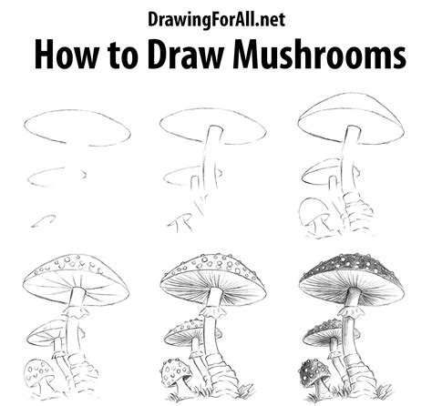 Https://tommynaija.com/draw/how To Draw A Simple Mushroom