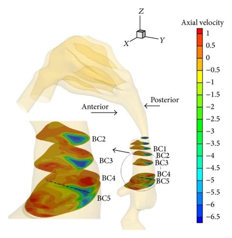 The Experimental Validation A The Axial Velocity Contours For