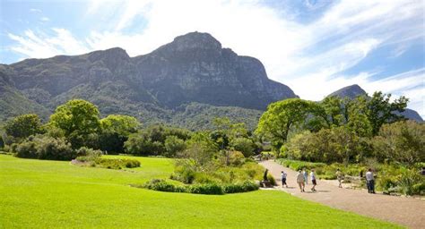 Kirstenbosch National Botanical Garden Review Cape Town South Africa
