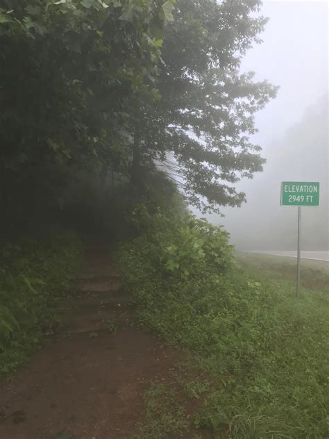 A Foggy Morning Out And Back The Other Day On The At Unicoi Gap To