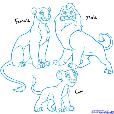 How To Draw Lion King Lions How To Draw Lion Draw Lion Cartoon Drawings