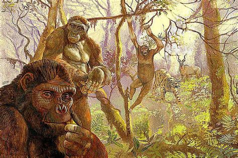 Pictures And Profiles Of Prehistoric Primates